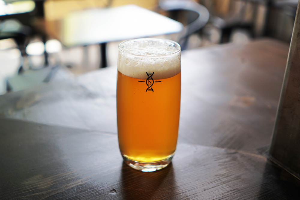 Novel Strand Brewing Green Showers Hoppy Beer