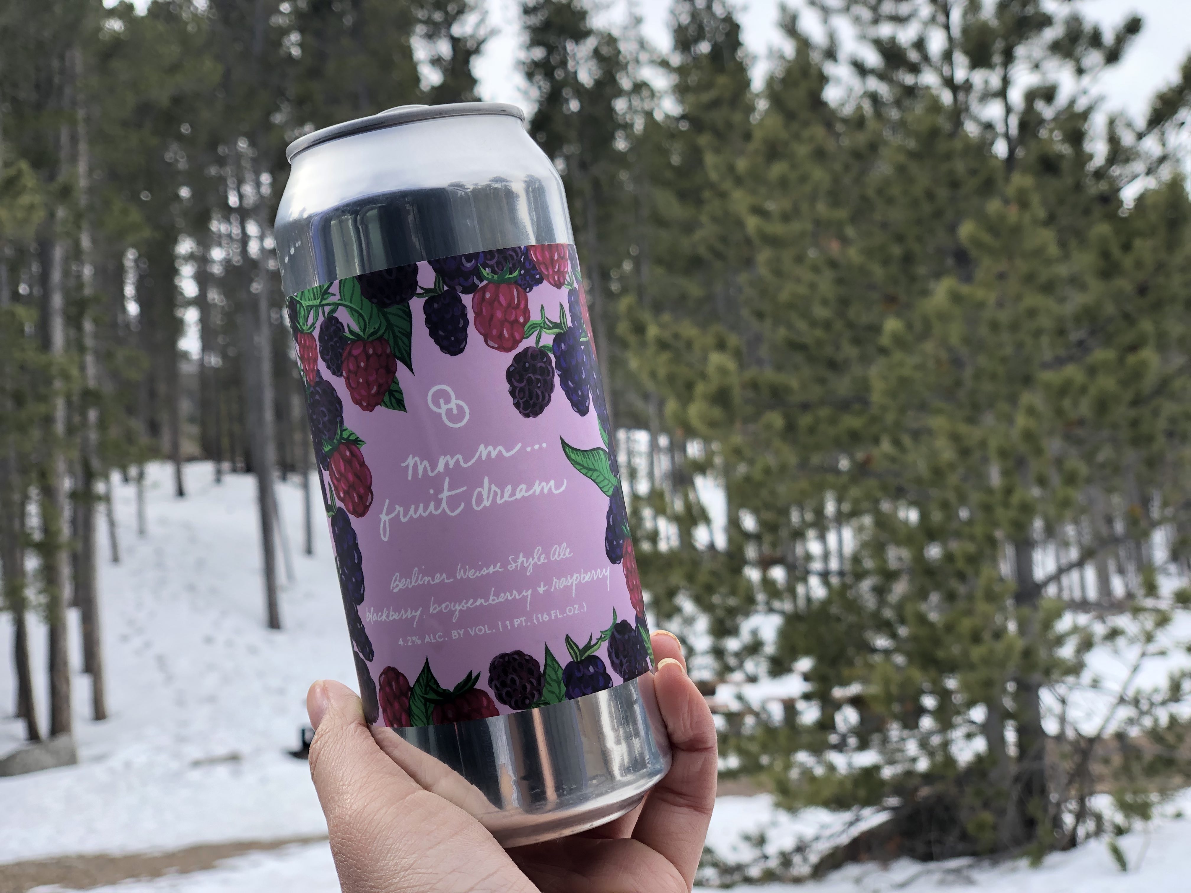 Other Half Brewing - Mmm...Fruit Dream