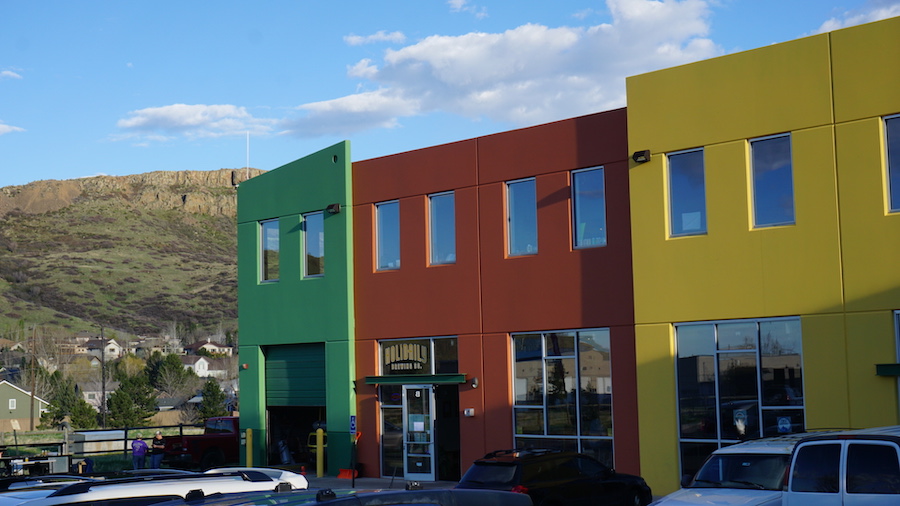 holidaily brewing