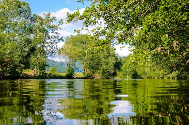 Ultimate 6er | Beers for a Float Trip