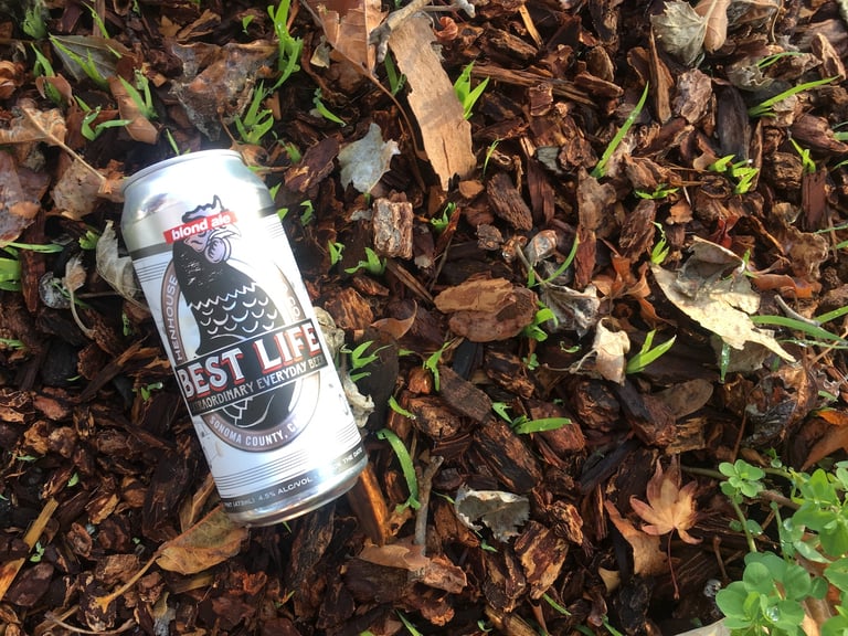 HenHouse Brewing Co. | Best Life Extraordinary Everyday Beer Blond Ale