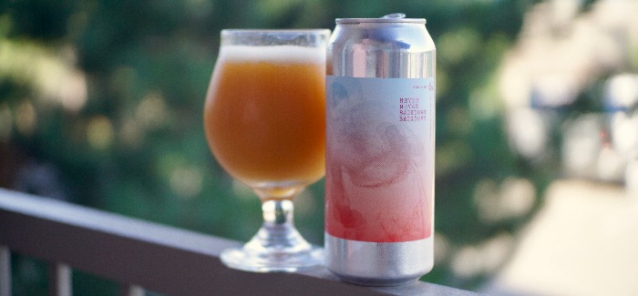 The Veil Brewing Co. | Never Never Backdown Backdown
