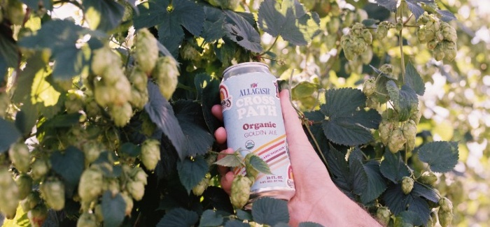 Allagash Brewing Goes Local with First Organic Ale