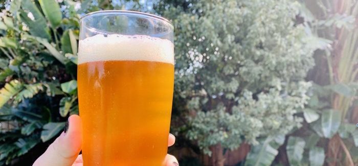 First Magnitude Brewing | Ursa American IPA