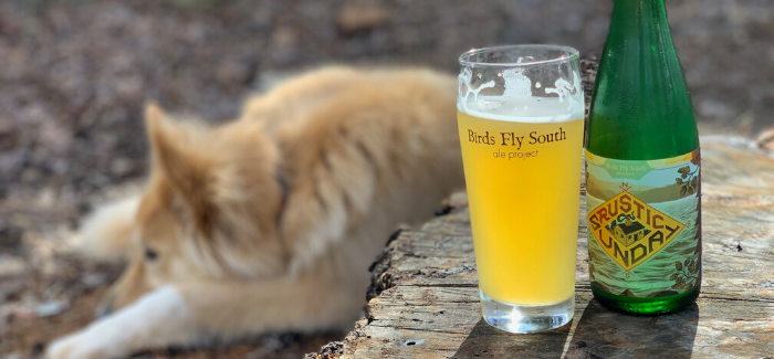 Birds Fly South Ale Project | Rustic Sunday