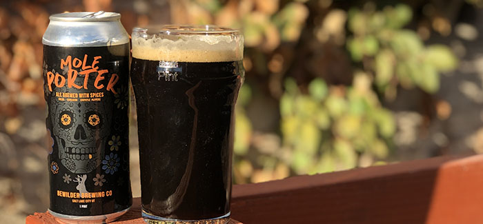 Bewilder Brewing Co. | Mole Porter
