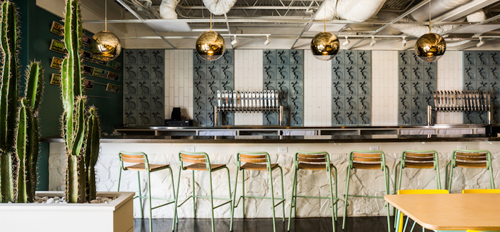 Women in Beer | Bailey Spaulding & Lisa Peterson of Jackalope Brewing