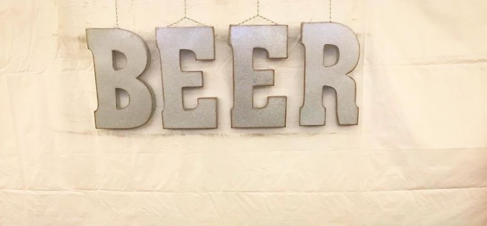 Snowbank Brewing | Northern Lights NE IPA