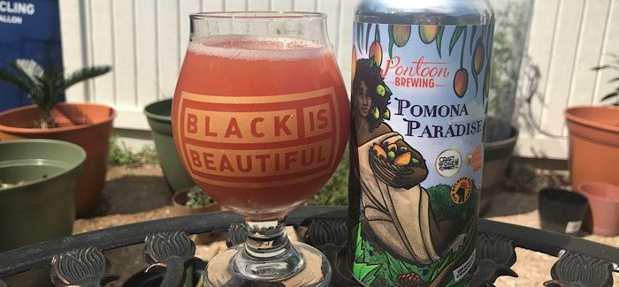 Craft Women Connect, Blk Brew Babes, Pontoon Brewing & The Atlanta Podcast | Pomona Paradise Smoothie-Style Fruited Sour