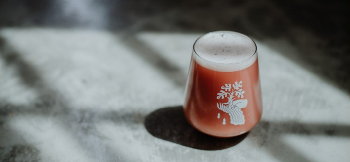 Drowned Lands Brewery | Harvest Kill Sour IPA