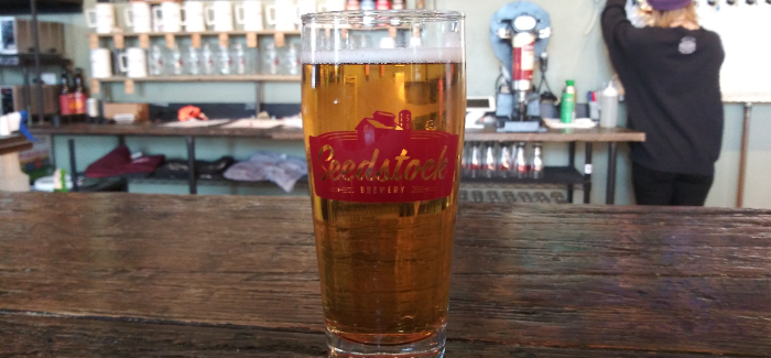 Seedstock Brewery | Kölsch