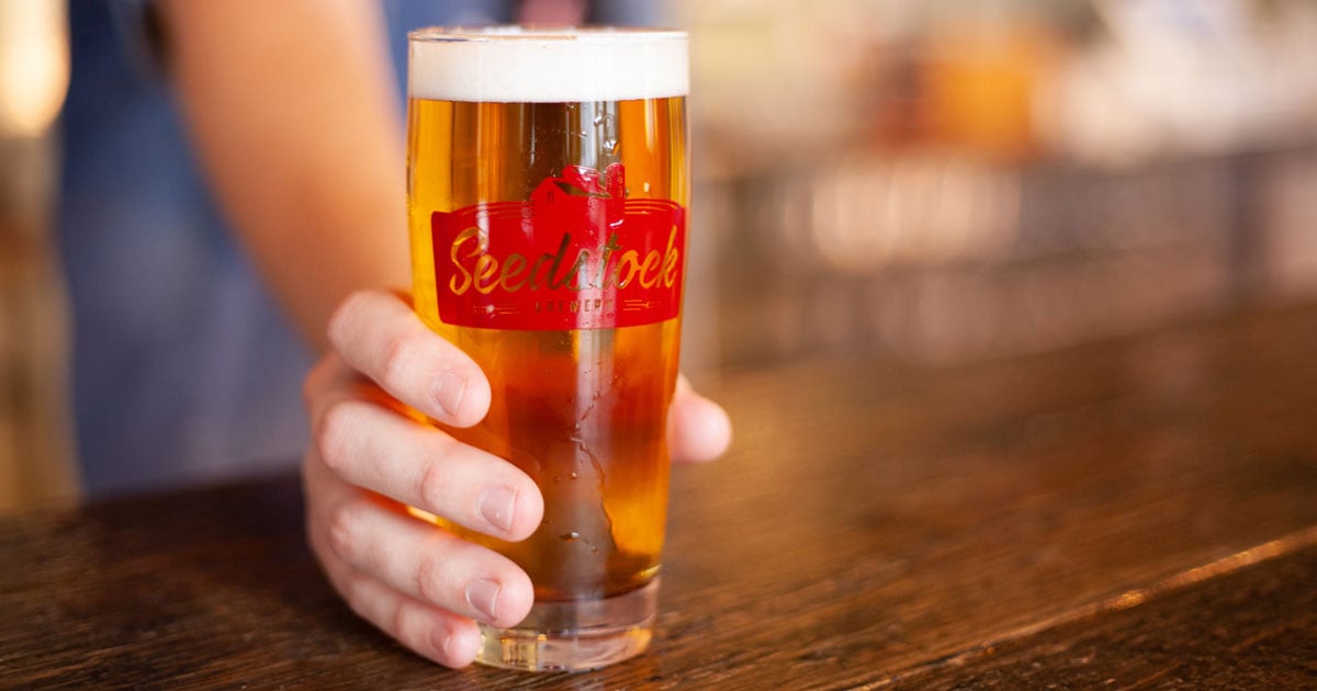 Seedstock Brewery Kölsch