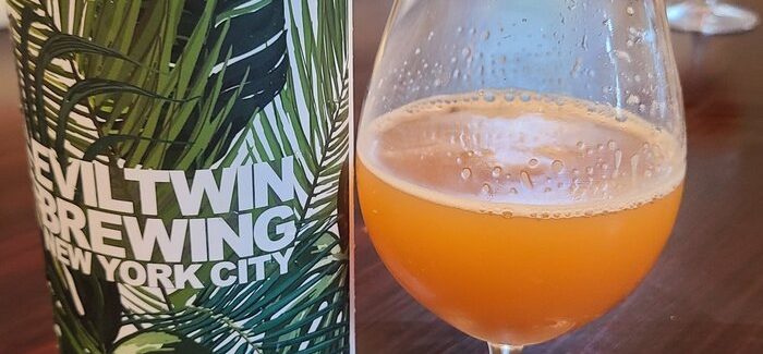 Evil Twin Brewing | ET Stay Home 19 (Imperial Gose)