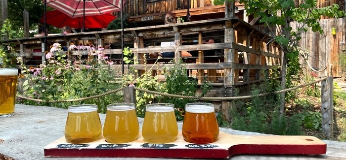 Brewery Showcase |  Stodgy Brewing Co.