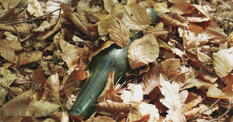 Ultimate 6er | The Abandoned German Beers of a Colorado Fall