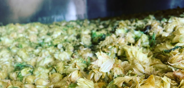 Homeward Bound | A Head Brewer’s Uphill Journey