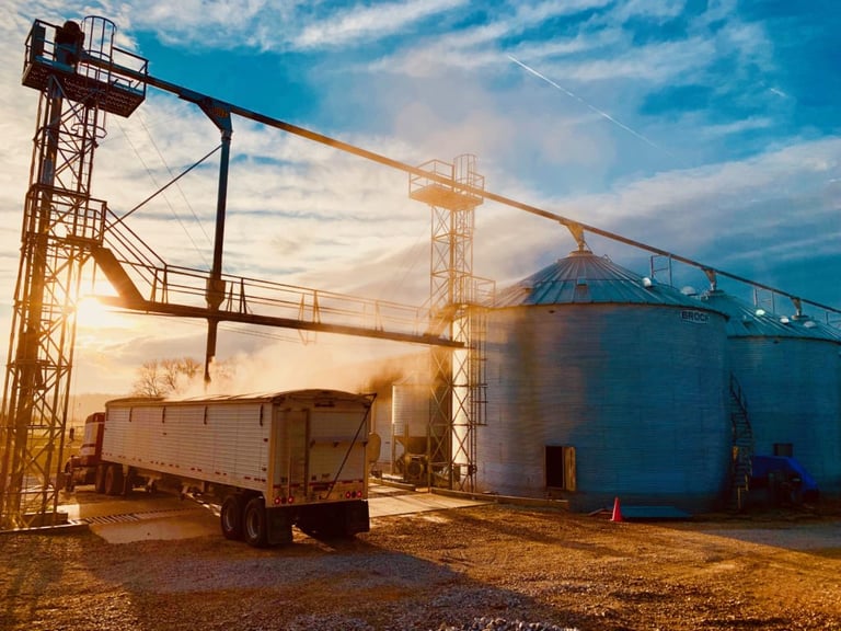 Editorial | Making the Case for Widely Adopting Craft Malting in Beer