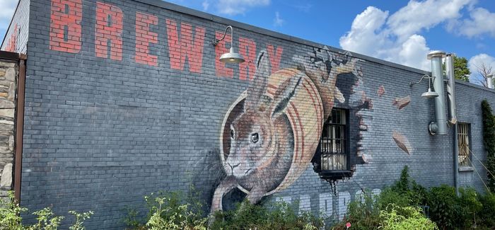 Swamp Rabbit Brewery | Honey Bunny Ale