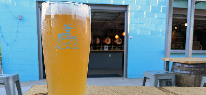Brewery Showcase | Cellarest Beer Project
