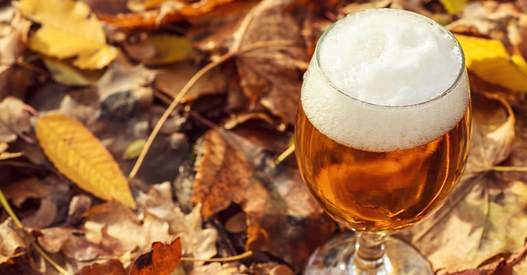 Ultimate 6er | Beers to Drink on the Couch While the Rest of These Jerks Gawk at Leaves