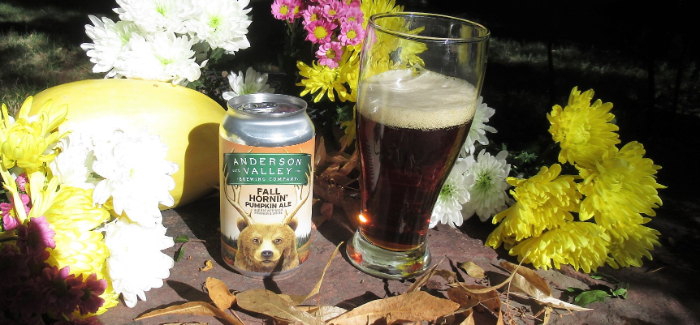 Anderson Valley | Fall Hornin’ Pumpkin Ale