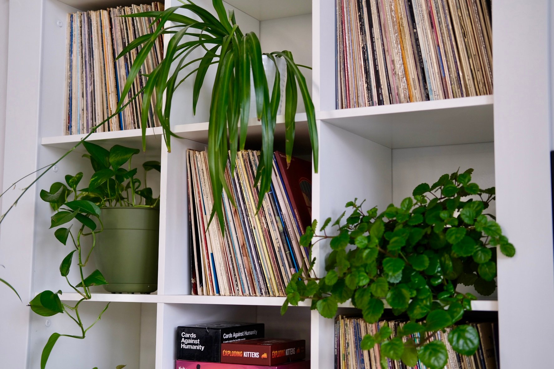 milieu burgeoning vinyl collection