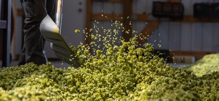 FlyteCo Brewing | Hop Is My Co-Pilot