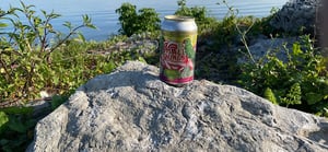 Small Things In Big Countries collaboration beer can