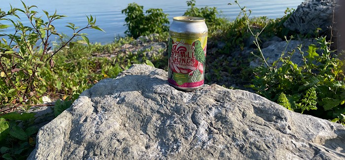 Small Things In Big Countries | Alternate Endings & Queue Beer Collaboration