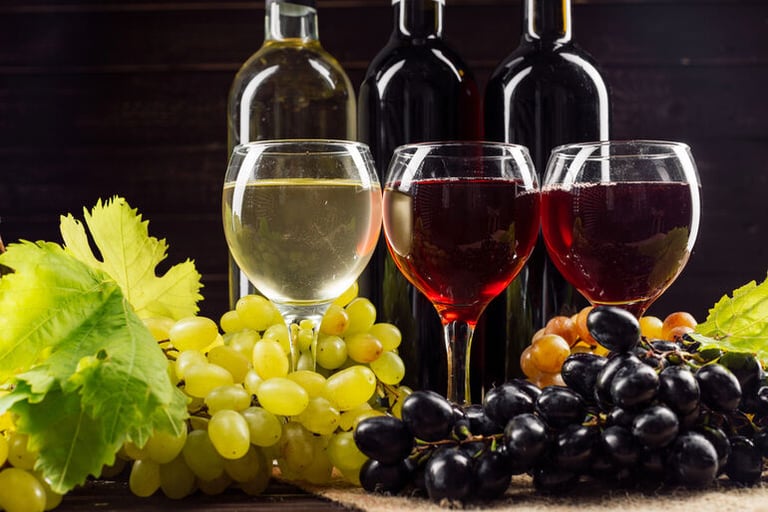 Exploring Italy’s Finest: Types of Italian Wines You Should Know