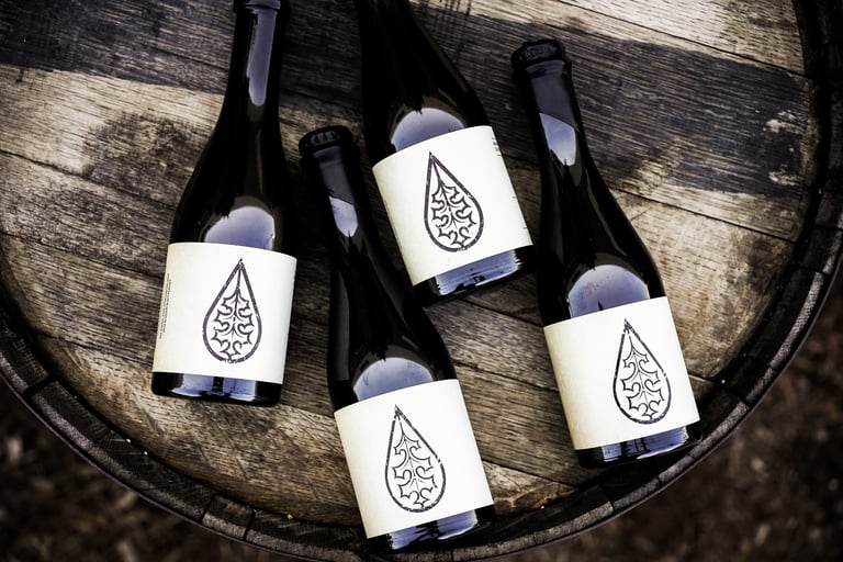 Pure Project Extends Its Cellar Cyndicate Beer Club Beyond San Diego for 2026