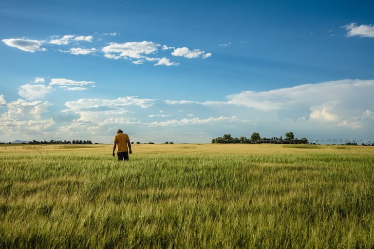 Root Shoot Malting Secures Regenified™ Certification, Advancing Regenerative Standards in Colorado