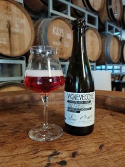 Cantina Errante Launches Vignevecchie 2024, a 8% ABV Spontaneous Fermentation Beer