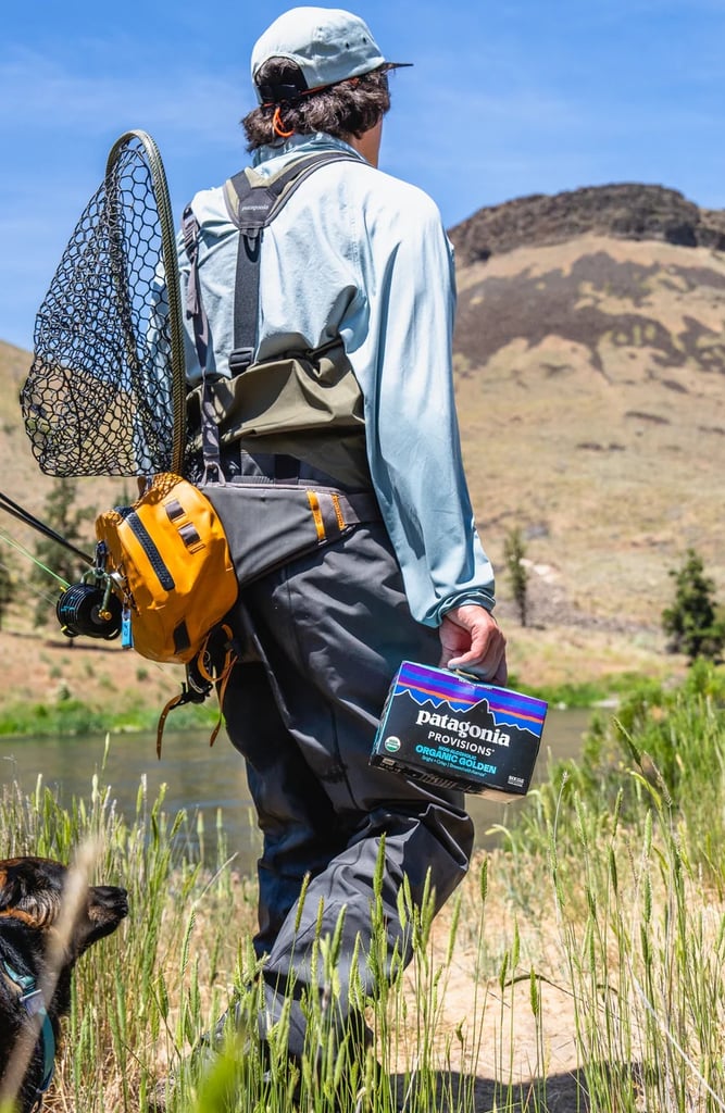 deschutes non-alcoholic organic golden collaboration with patagonia provisions