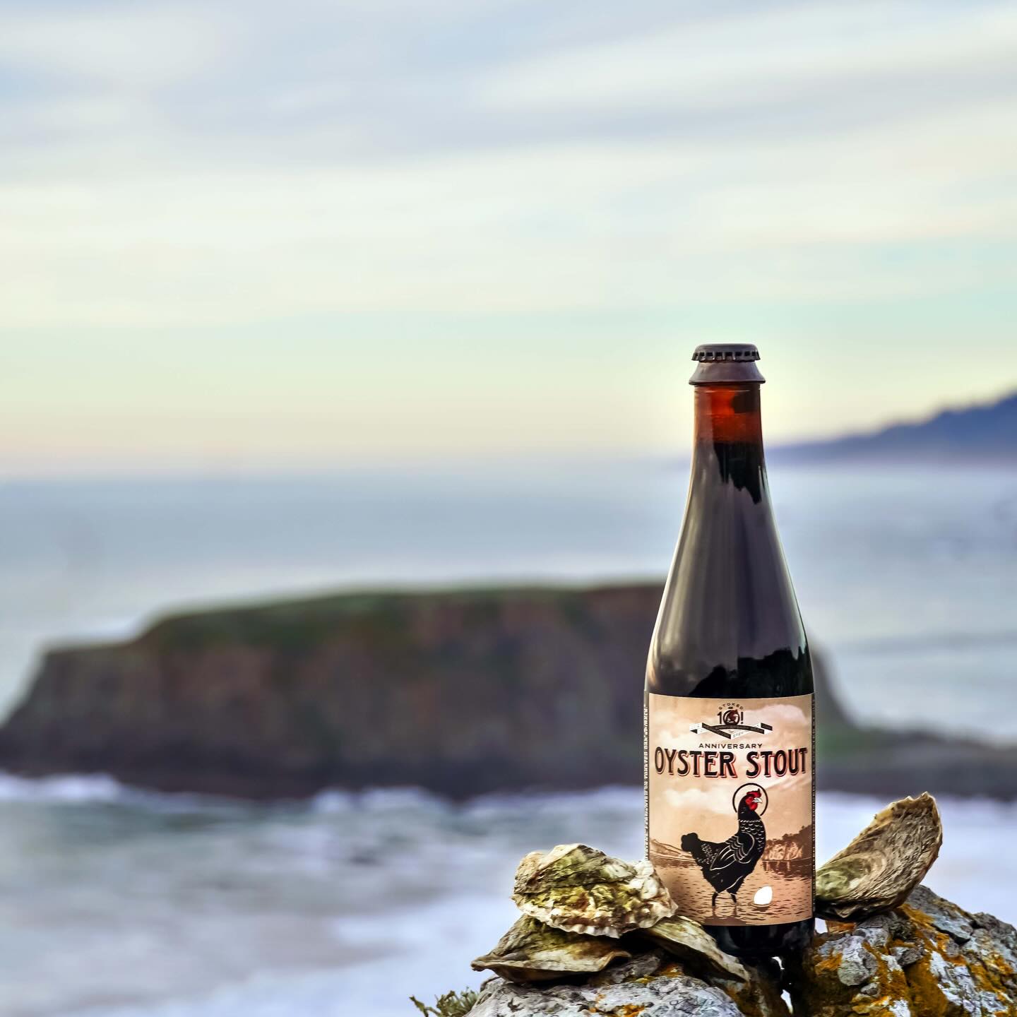 HenHouse oyster stout bottle next to oyster shells by a stunning seaside vista.