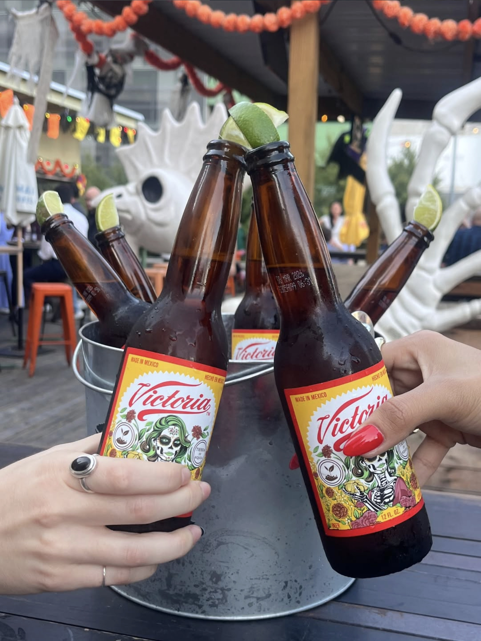 bottles of Victoria Vienna-style lager Mexican beer being cheered at a table