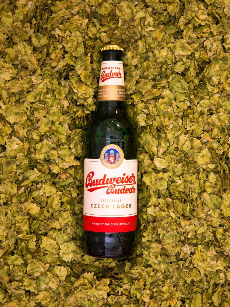 Budweiser Budvar bottle nestled in a bed of hops.