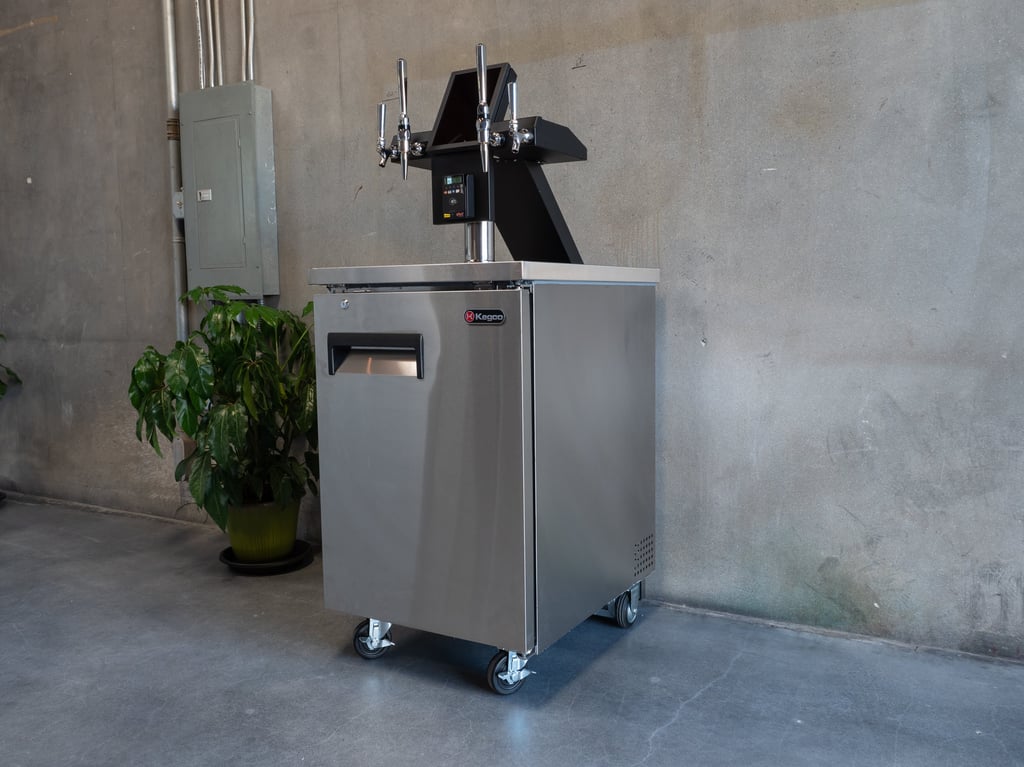 Stainless steel kegerator outdoors.