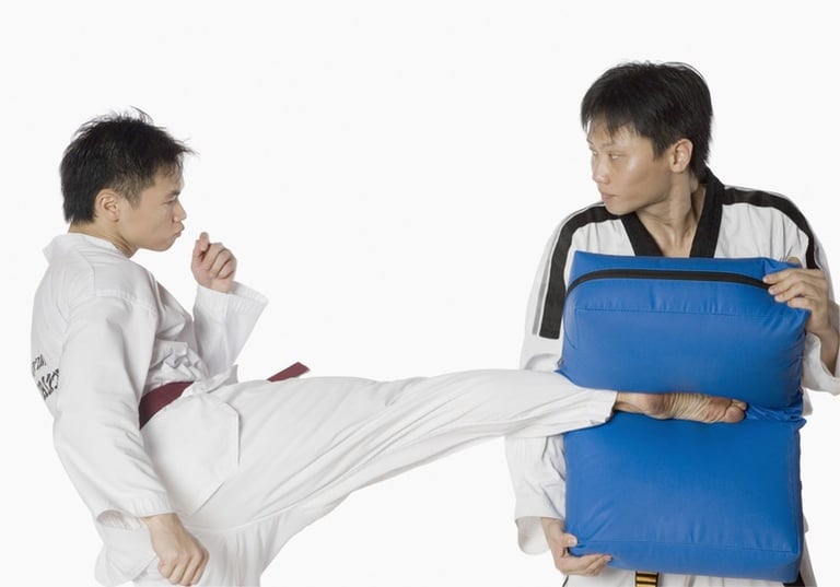 How Ranking Hierarchy in Sumo Shapes Strategy and Fighting Style at the Yokozuna Level