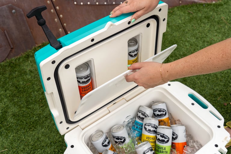 Dogfish Head’s Secret Stash Cooler Lets You Hide Your Favorite Cocktails