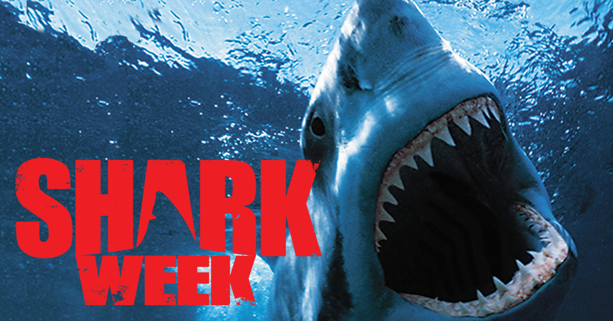 Discovery's Running Out of Ideas for Shark Week Programming