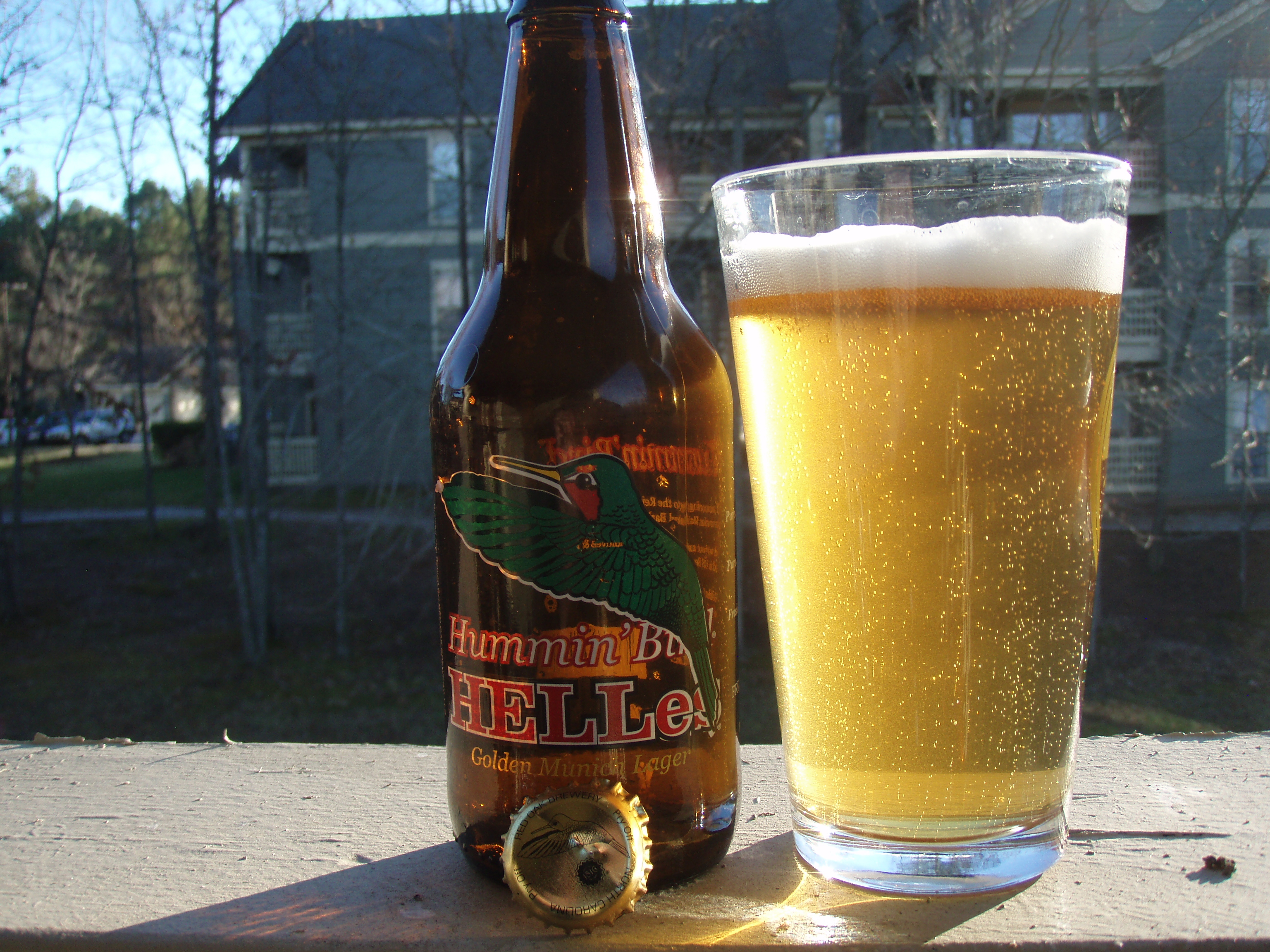 Hummingbird helles