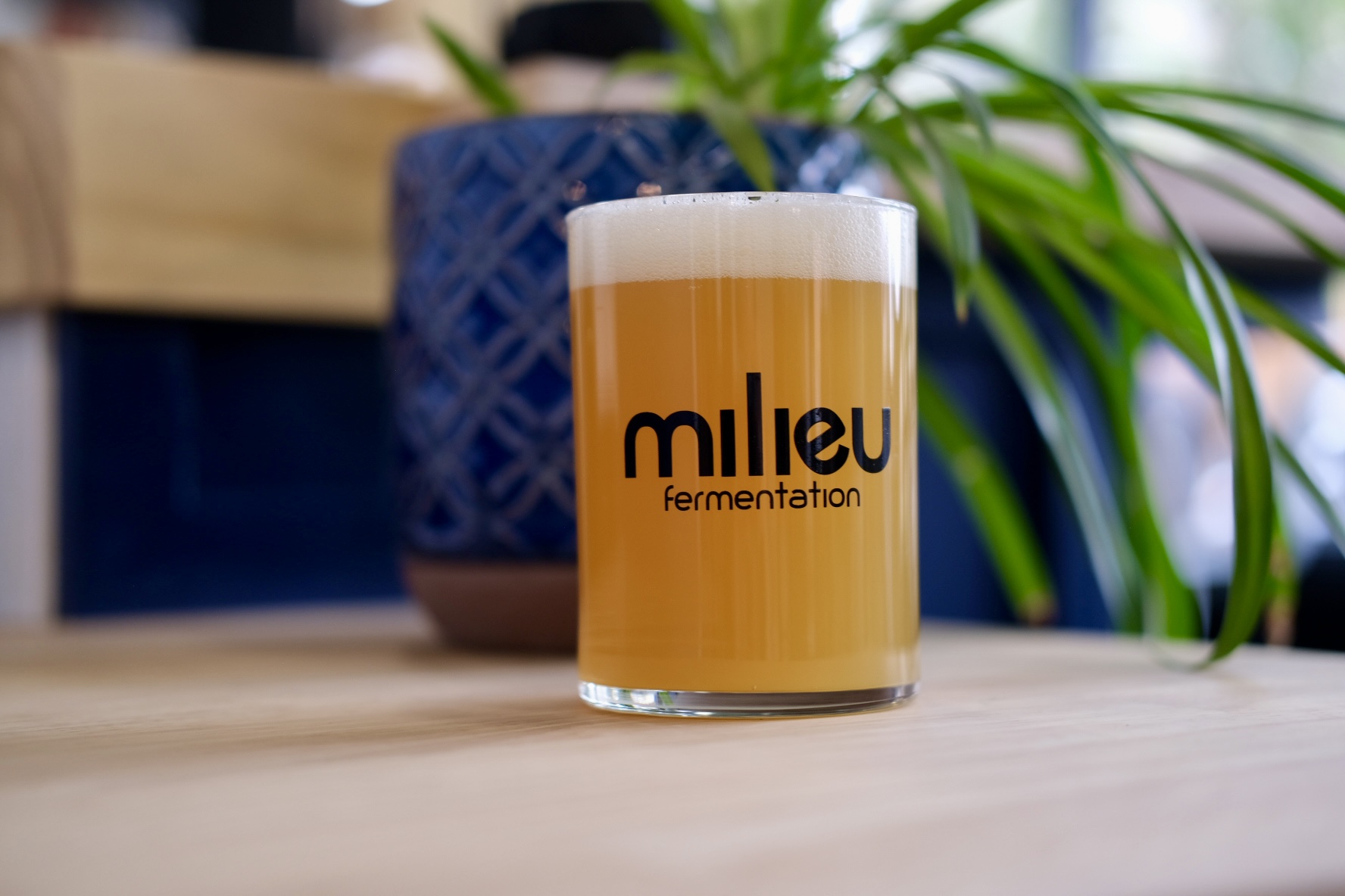milieu x Peculier Ales Should Be A Big One - first draft!